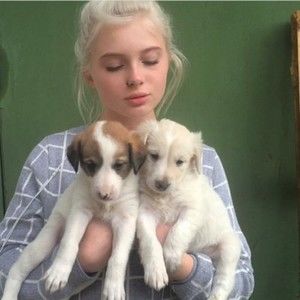 Meet your Posher, Abigail